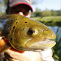 World Carp Classic 2015